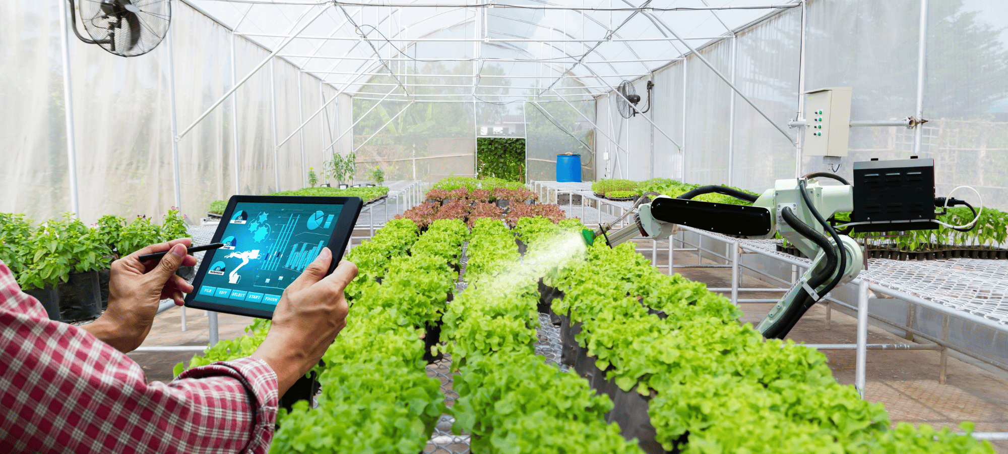 Digitalizarea în agricultură. Robotul care inspectează 1.8 hectare în maxim 30 de minute