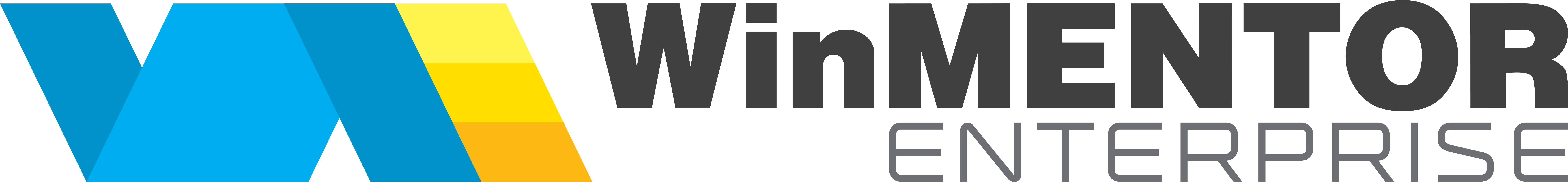 WinMentor Enterprise