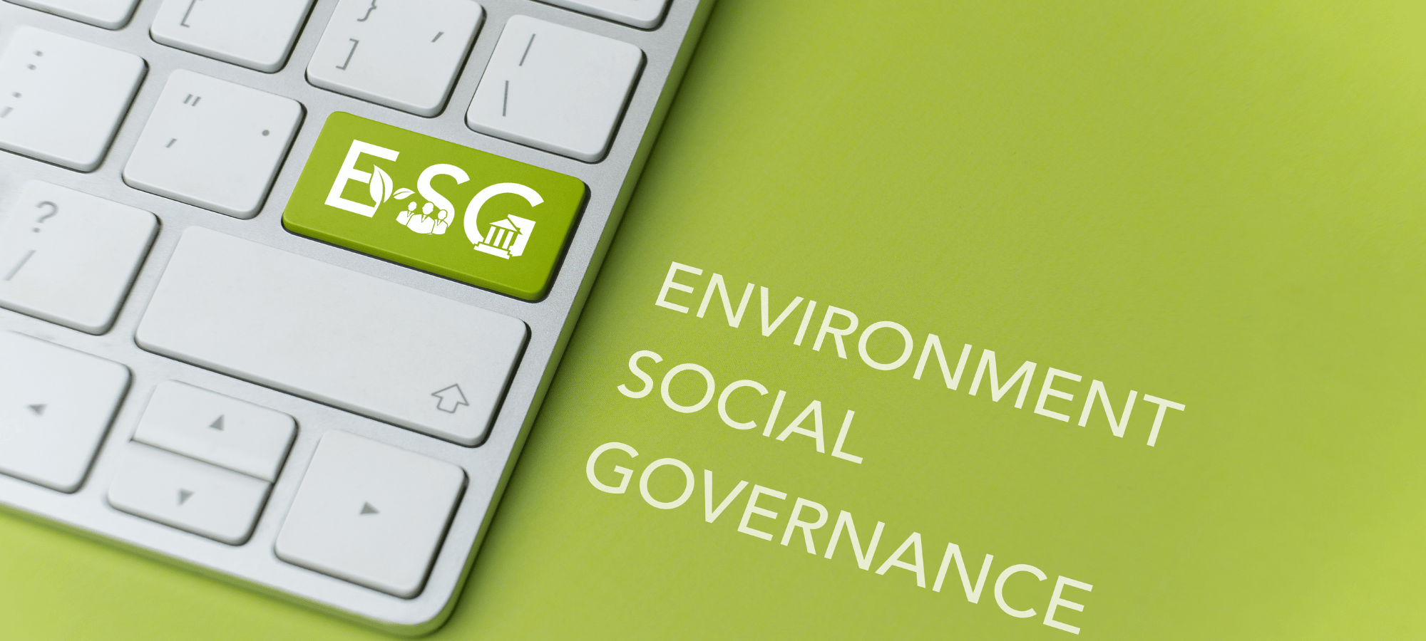 Care sunt companiile care au nevoie de aplicații software ESG, dedicate normelor de sustenabilitate?