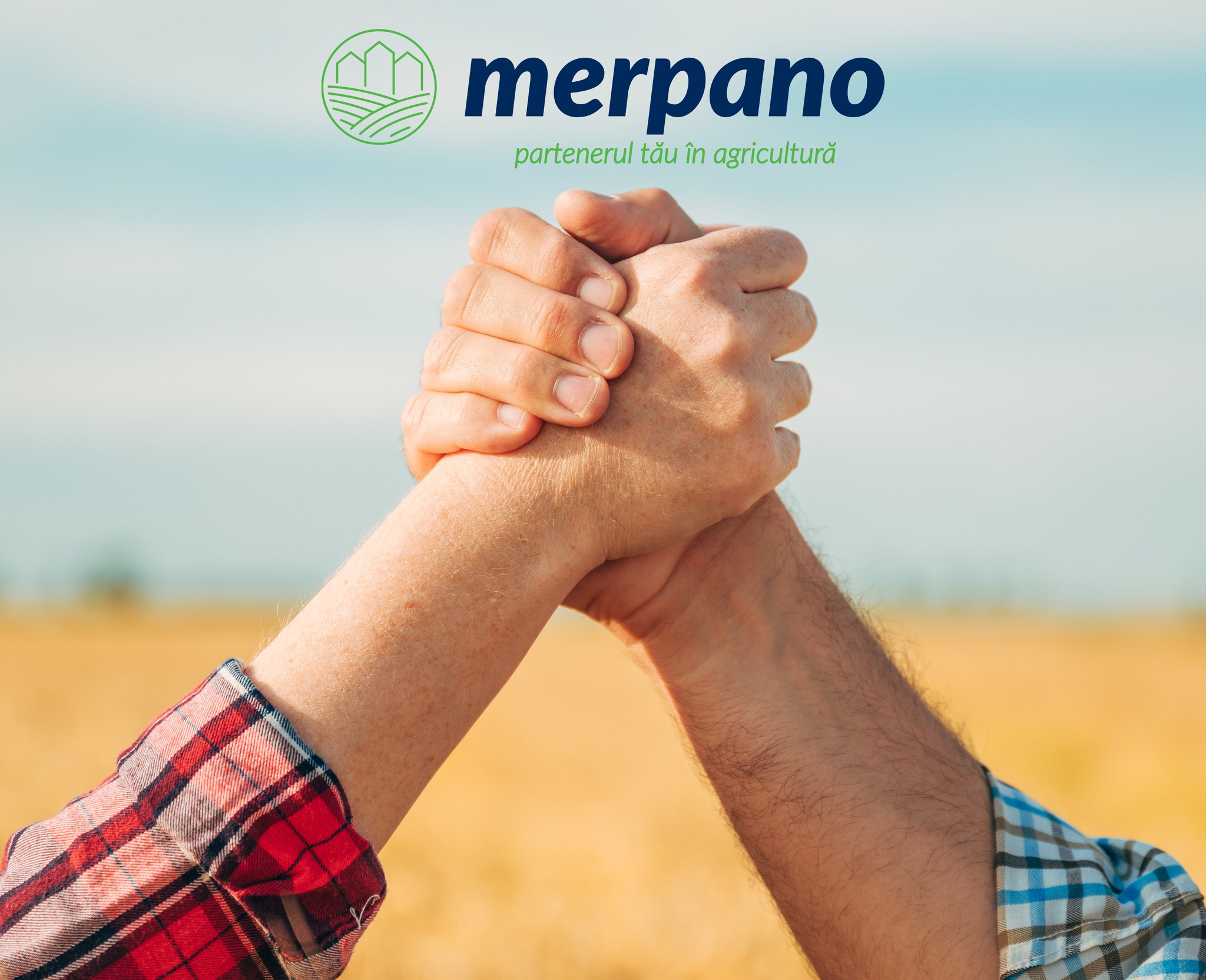 Digitalizarea inteligentă: cum un ERP poate transforma o companie de agrobusiness