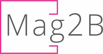Mag2B - B2B/B2C