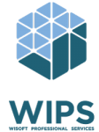 WiSoft Professional Services