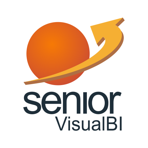 SeniorVisualBI